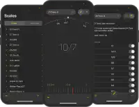 Image of Node Audio Entonal Tuner